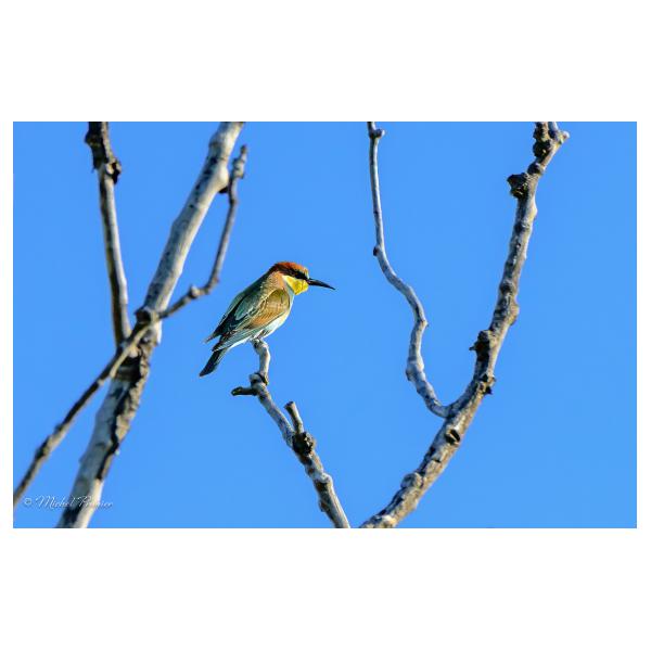 PHOTO84, CLUB, 84 , LUBERON